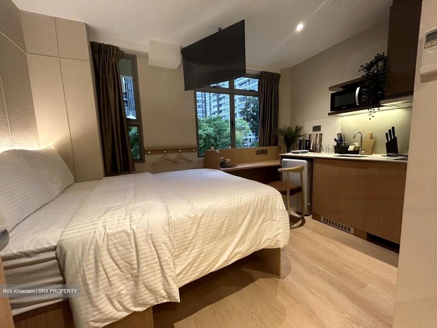 Mount Elizabeth Link (D9), Condominium #484100451